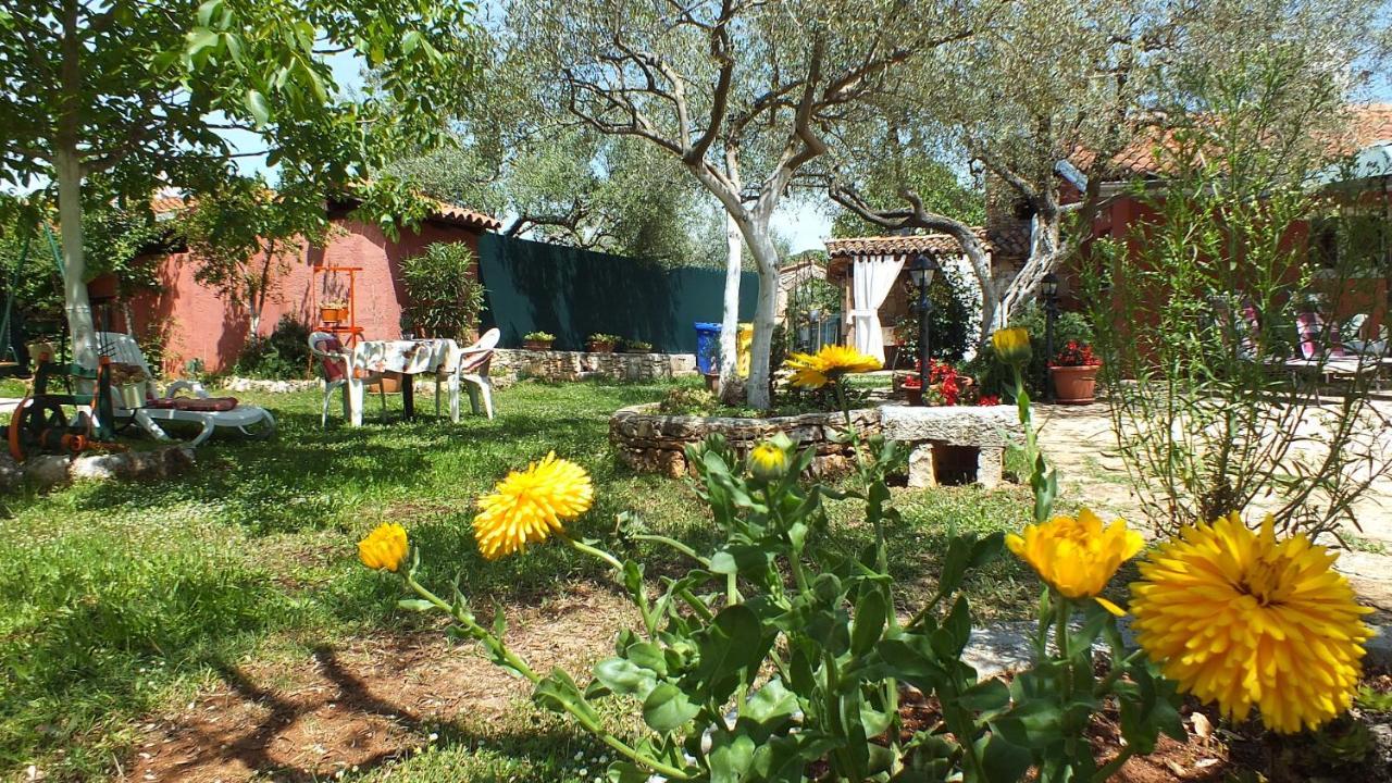 Casa Terren Grande Casa vacanze