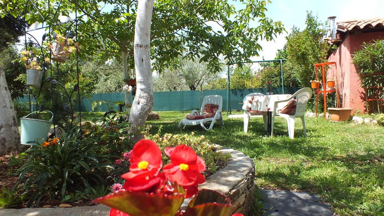 Casa Terren Grande